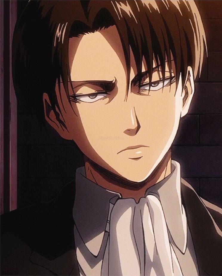 Who Would Win Between Levi Ackerman and Giyu Tomioka?